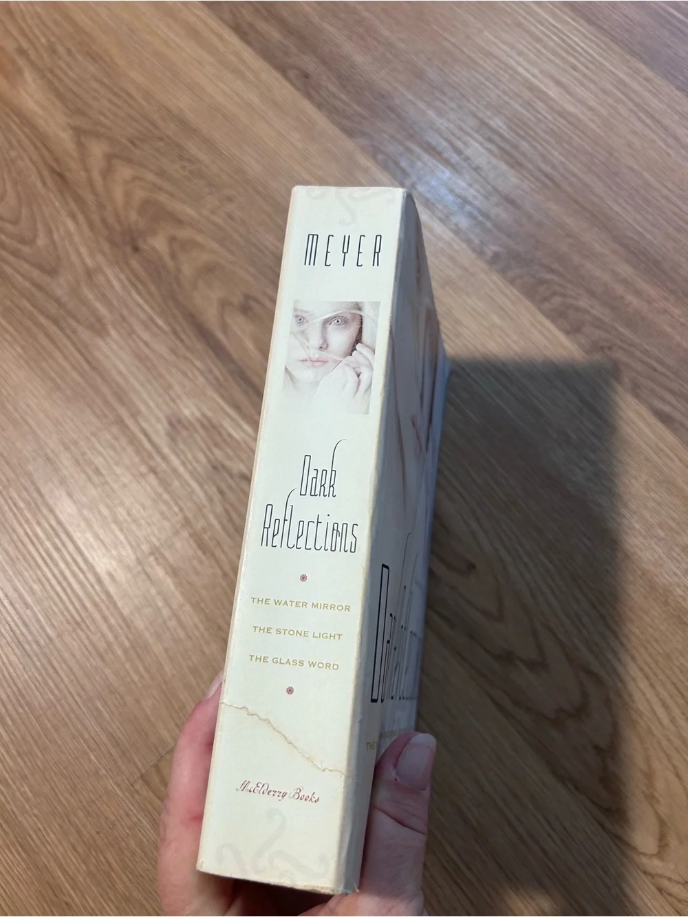 Dark Reflections Trilogy by Kai Meyer 3-in-1 YA Fantasy Paperback Omnibus
